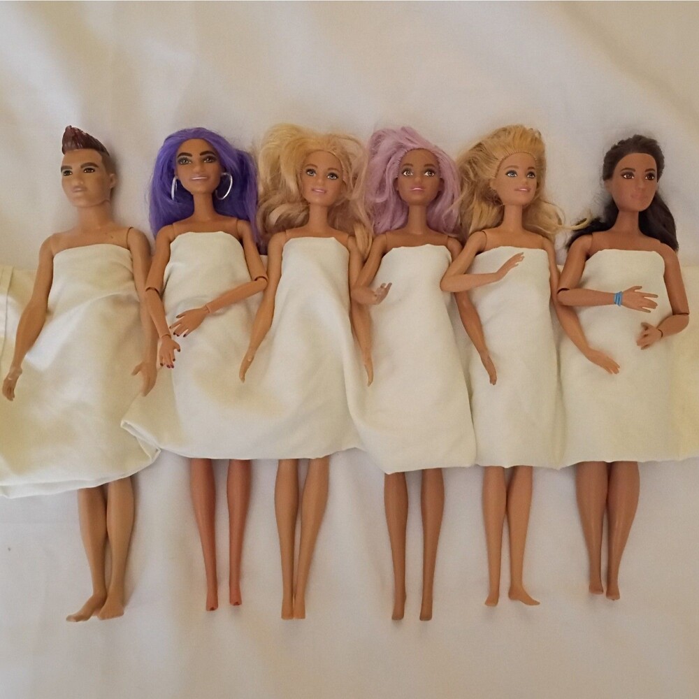 6pc Barbie Fashionistas Doll Lot No Clothing Ken Included 2015